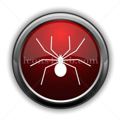 Spider icon. Red glossy web icon with shadow - Icons for website