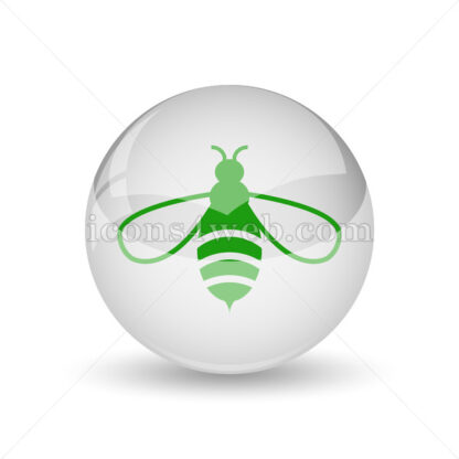 Bee glossy icon. Bee glossy button - Website icons