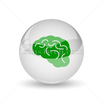 Brain glossy icon. Brain glossy button - Website icons
