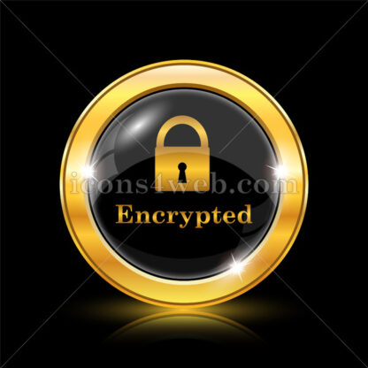Encrypted golden icon. - Website icons