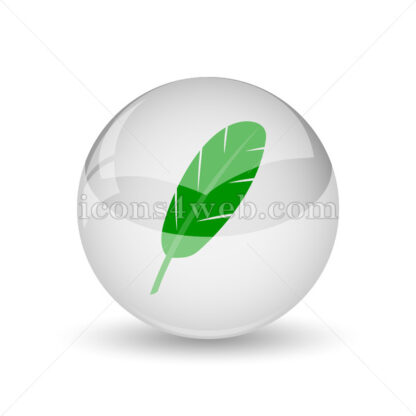 Feather glossy icon. Feather glossy button - Website icons