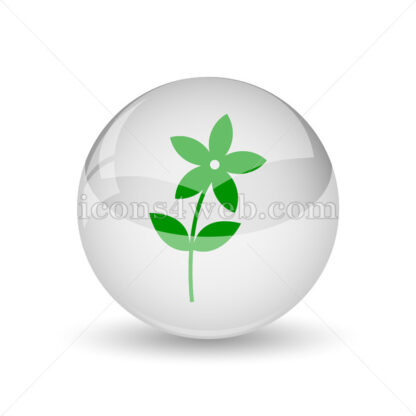 Flower  glossy icon. Flower  glossy button - Website icons