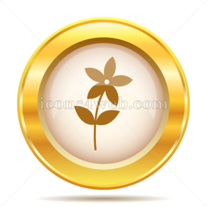 Flower  golden button - Website icons