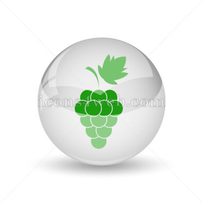 Grape glossy icon. Grape glossy button - Website icons