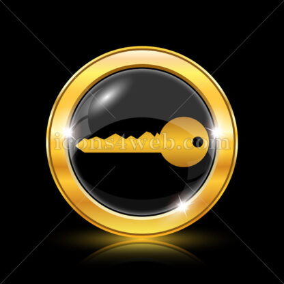 Key golden icon. - Website icons