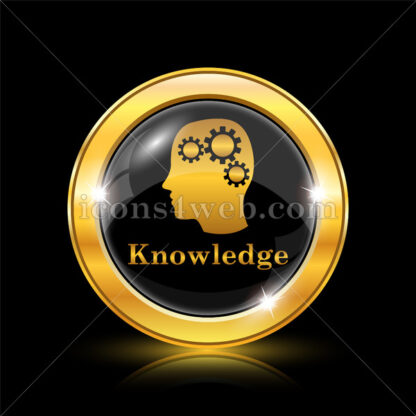Knowledge golden icon. - Website icons