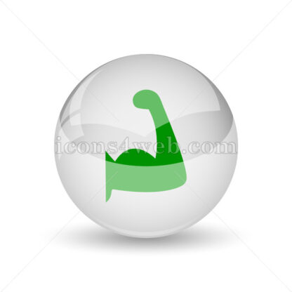 Muscle glossy icon. Muscle glossy button - Website icons