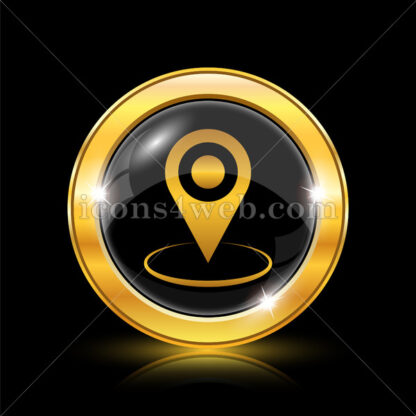 Pin location golden icon. - Website icons