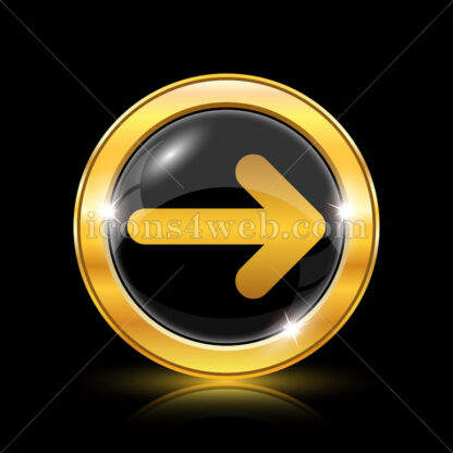 Right arrow golden icon. - Website icons