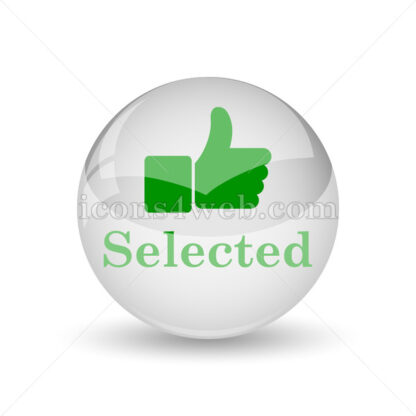 Selected glossy icon. Selected glossy button - Website icons