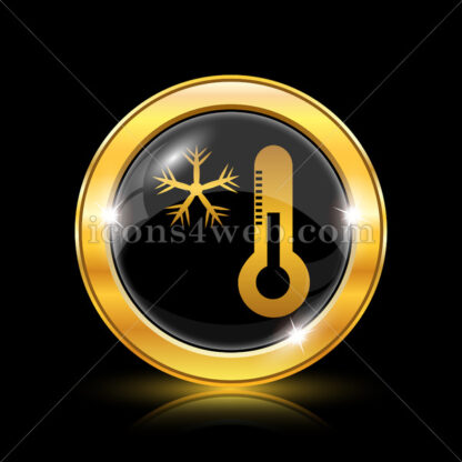 Snowflake with thermometer golden icon. - Website icons