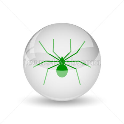 Spider glossy icon. Spider glossy button - Website icons