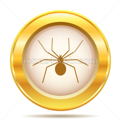 Spider golden button - Website icons