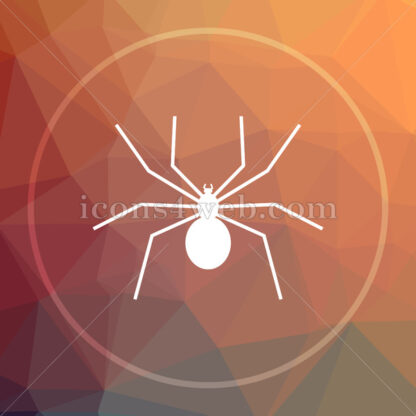 Spider low poly icon. Website low poly icon - Website icons