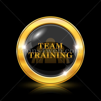 Team training golden icon. - Website icons