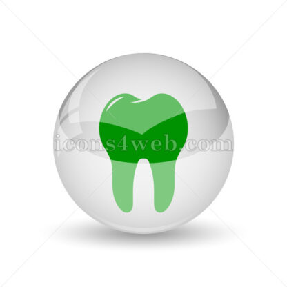 Tooth glossy icon. Tooth glossy button - Website icons