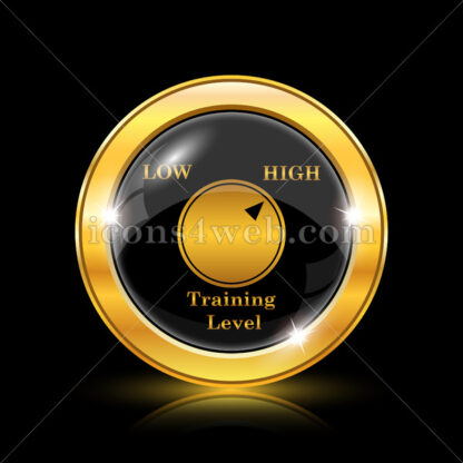 Training level golden icon. - Website icons