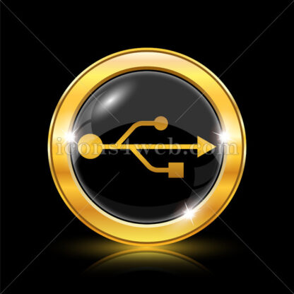 USB golden icon. - Website icons
