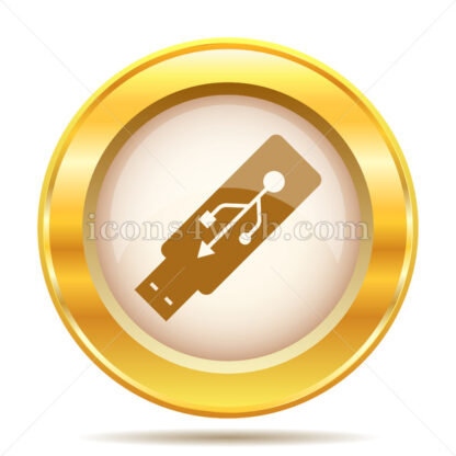 Usb flash drive golden button - Website icons