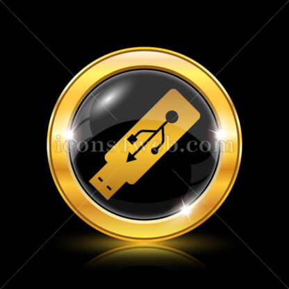 Usb flash drive golden icon. - Website icons