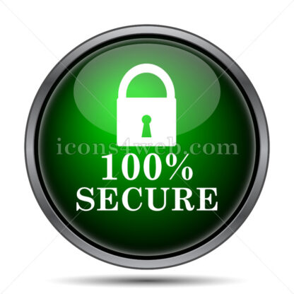 100 percent secure internet icon. - Website icons
