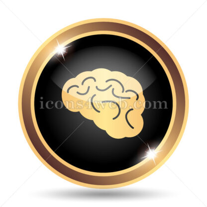 Brain gold icon. - Website icons