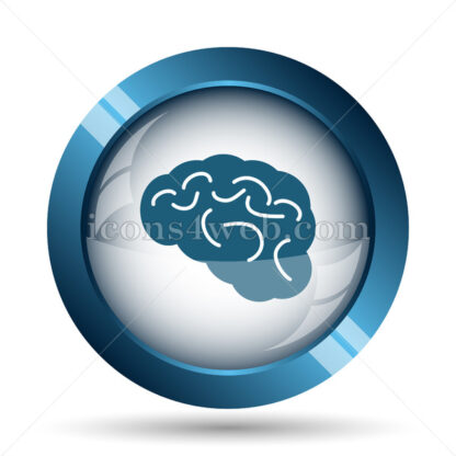 Brain image icon. - Website icons