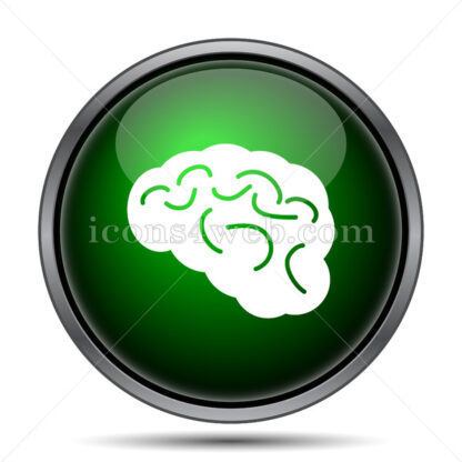 Brain internet icon. - Website icons