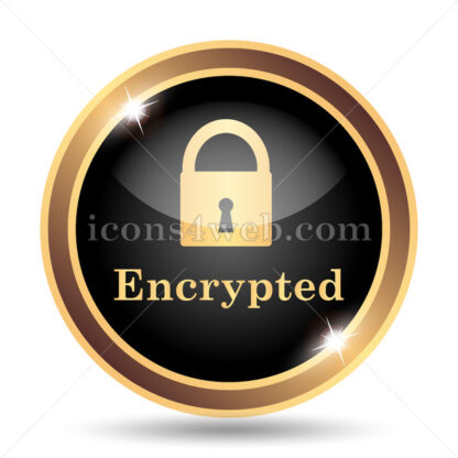 Encrypted gold icon. - Website icons