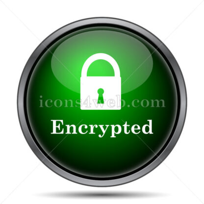 Encrypted internet icon. - Website icons