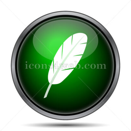 Feather internet icon. - Website icons