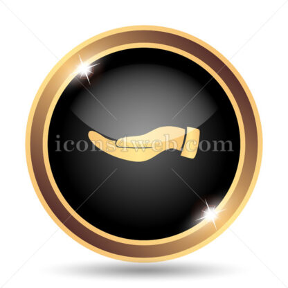 Hand gold icon. - Website icons