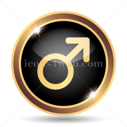 Male sign gold icon. - Website icons