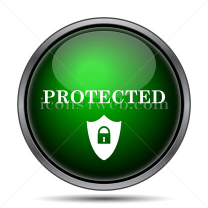 Protected internet icon. - Website icons