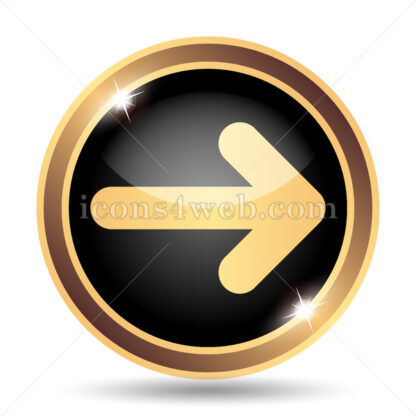 Right arrow gold icon. - Website icons