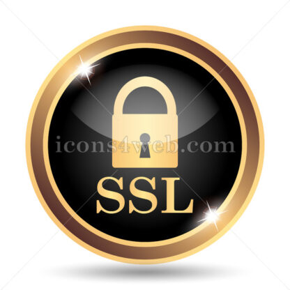 SSL gold icon. - Website icons