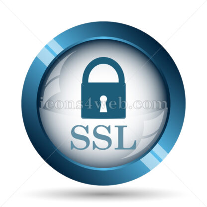 SSL image icon. - Website icons