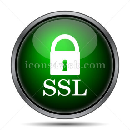 SSL internet icon. - Website icons