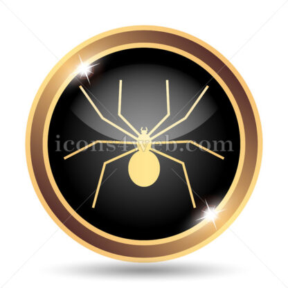 Spider gold icon. - Website icons