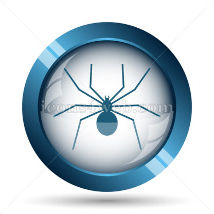 Spider image icon. - Website icons