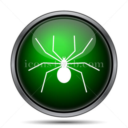 Spider internet icon. - Website icons