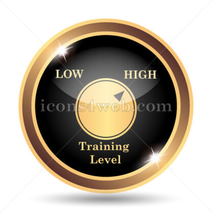Training level gold icon. - Website icons