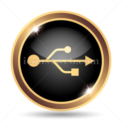 USB gold icon. - Website icons