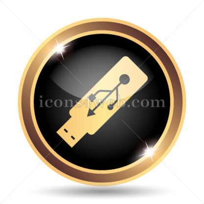 Usb flash drive gold icon. - Website icons