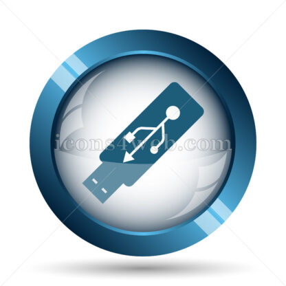 Usb flash drive image icon. - Website icons