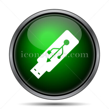 Usb flash drive internet icon. - Website icons