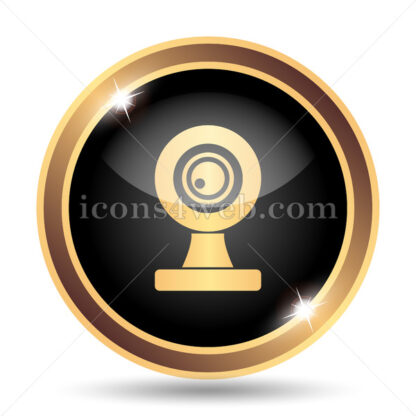 Webcam gold icon. - Website icons