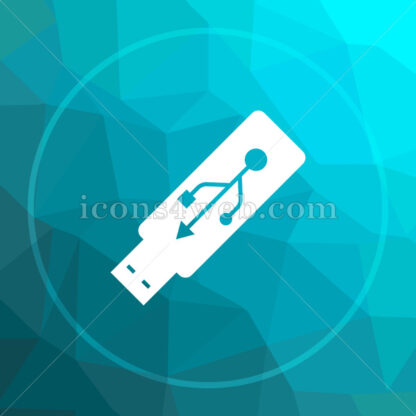 Usb flash drive low poly button. - Website icons