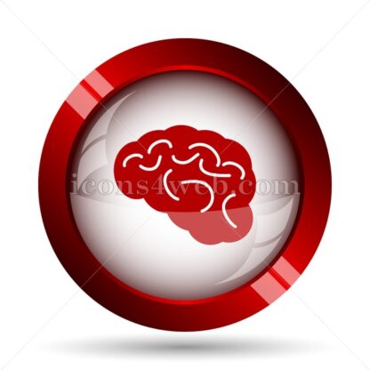 Brain website icon. High quality web button. - Icons for website