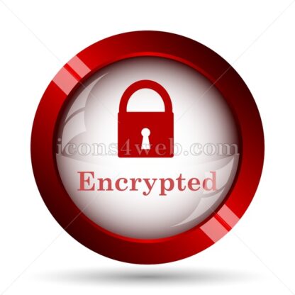 Encrypted website icon. High quality web button. - Icons for website